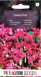 Statice Rose Pink Seed